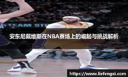 安东尼戴维斯在NBA赛场上的崛起与挑战解析